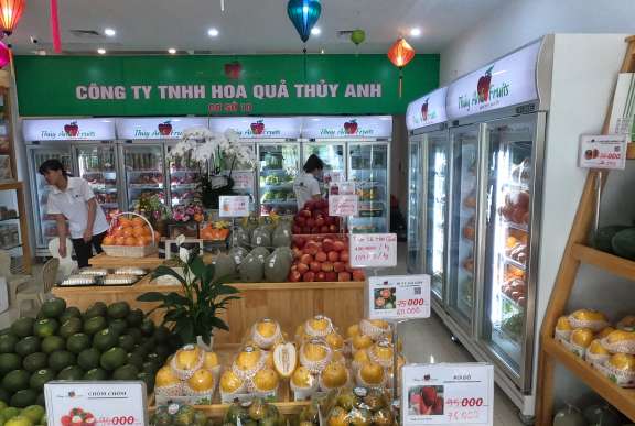 Thiết kế thi công tủ mát cho chuỗi cửa hàng Thủy Anh fruits